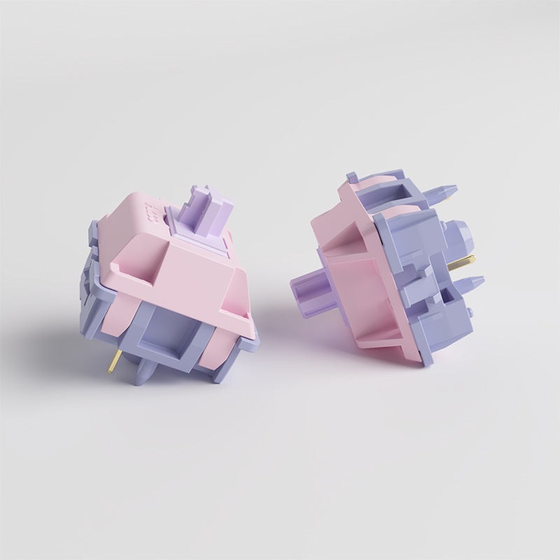Test switches2