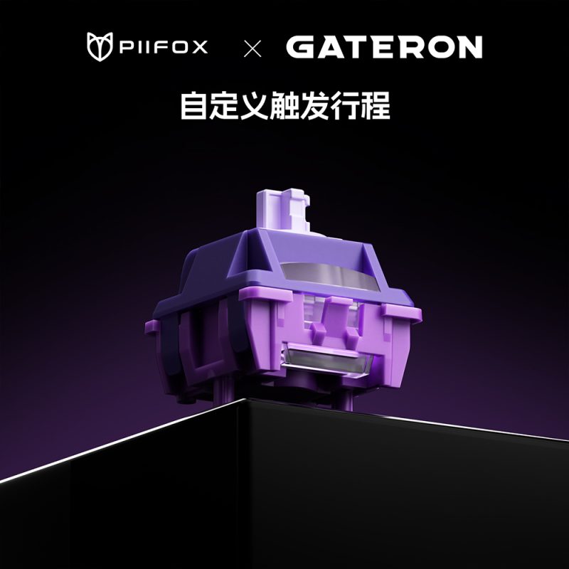 玄武磁轴