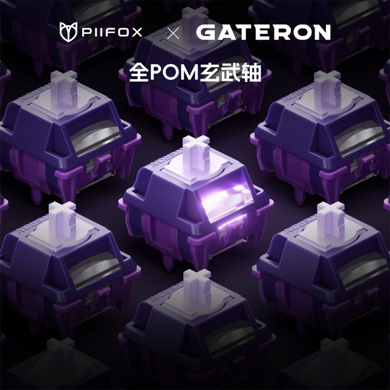 玄武磁轴