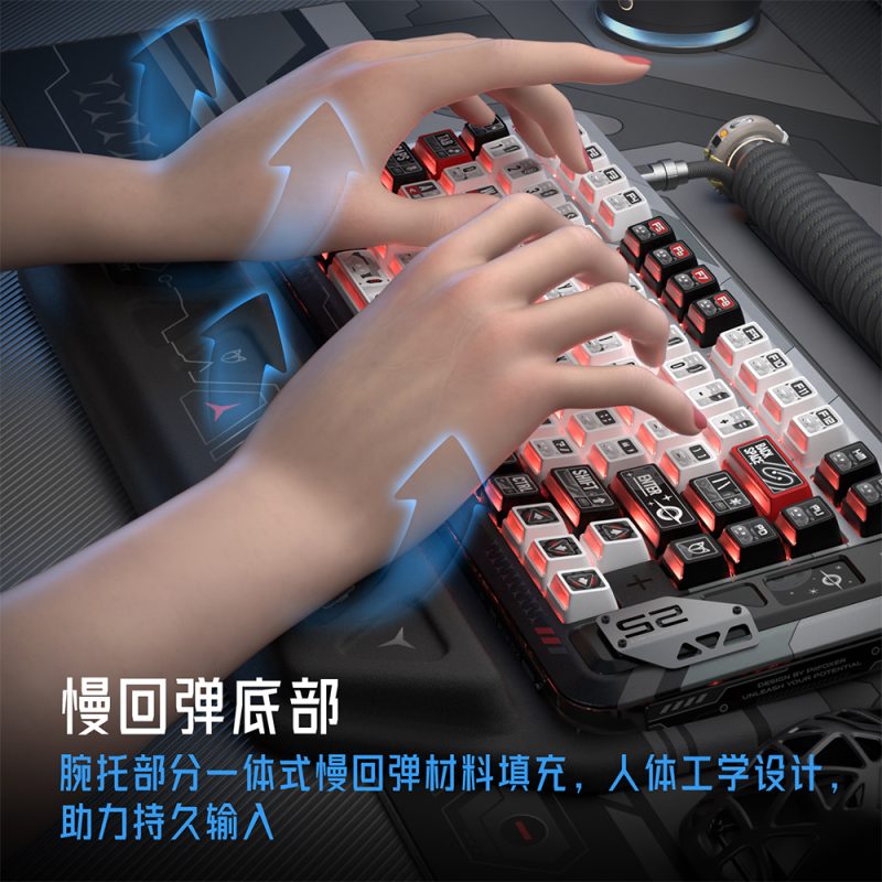 《全局手托》